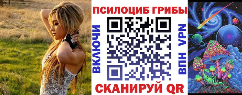 Псилоцибиновые грибы Cubensis Урай